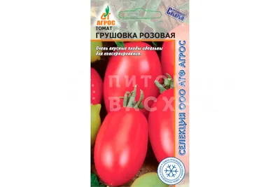 Томат Грушовка розовая семена 0,08г купить пакетированные семена помидор |  Питомник ВАСХНиЛ