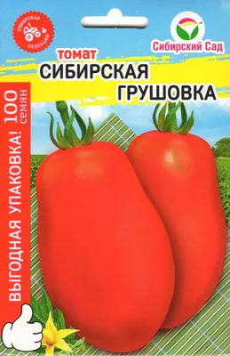 Томат Сибирская грушовка МАКСИ 100шт Сибирский сад - купить по выгодным  ценам в Москве и с доставкой по России