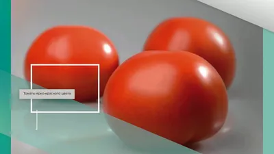 Лучшие сорта томатов прошлого года: рейтинг, отзывы, фото