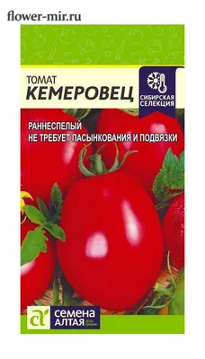 Томат Кемеровец 0,05 гр. купить оптом в Томске по цене 10,69 руб.