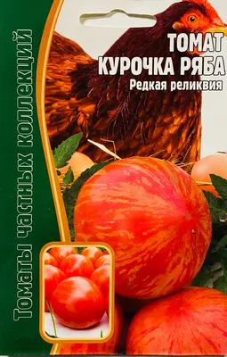 Семена Томат Курочка ряба, ОГ - купить по выгодной цене | Урожайка