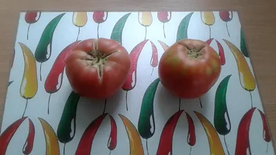 Обзор томатов Микадо Розовый и Чудо земли. (Сравнение) - YouTube