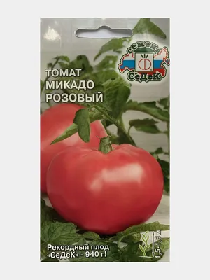 Томат Микадо розовый (семена) за 55 ₽ купить в интернет-магазине  KazanExpress