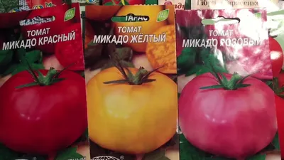 Семена аппетитных томатов «Микадо». - YouTube