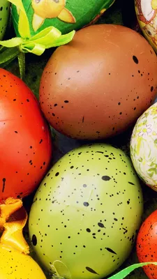 Пользователей Сети возмутили фото в Twitter Верховной рады с пасхальными  яйцами в виде гранат