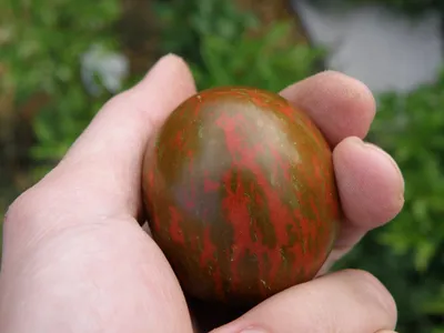 Самые красивые сорта томатов 2021. - YouTube