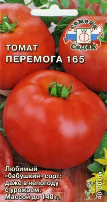 Tomato Peremoga 165. Не GMO. Russian seeds | eBay