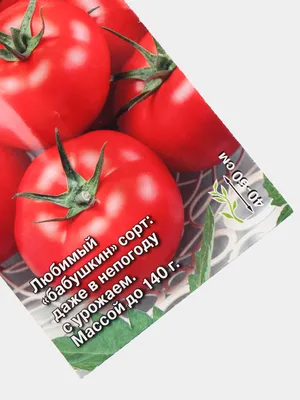 Семена томата "Победа 165" за 40 ₽ купить в интернет-магазине KazanExpress