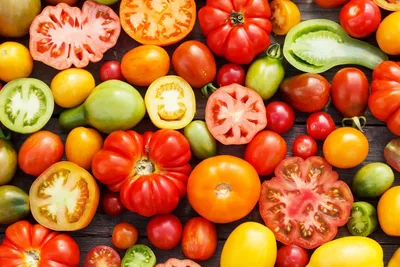 Как выбрать подходящие сорта томатов для рассады - Рамблер/женский.