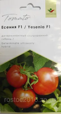 Томат Єсенія F1 20 Шт, Елітний Ряд — Купити Недорого на Bigl.ua (492825785)