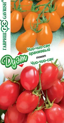 ✓ Набор семян Томат Чио-чио-сан, 0,05г и Томат Чио-чио-сан оранжевый,  0,05г, Гавриш, Дуэт по цене 35 руб. ◈ Большой выбор ◈ Купить по всей России  ✓ Интернет-магазин Гавриш ☎ 8-495-902-77-18