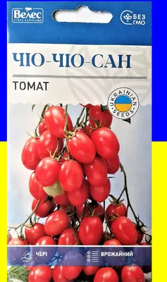 Томат Чио-Чио-Сан 0,15 г Велес: продажа, цена в Мариуполе. Семена и рассада  овощных культур от \"Удачу на дачу\" - 890127765