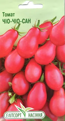 Семена томат Чио-Чио-Сан 0,1 г Елітсорт 70356 – отзывы покупателей | ROZETKA