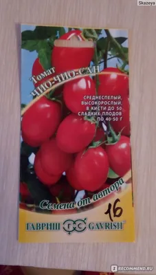 Семена Гавриш томат Чио-чио-сан - «Плодоносит с июля до сентября, по 40-50  сладких помидорок на одной кисти» | отзывы