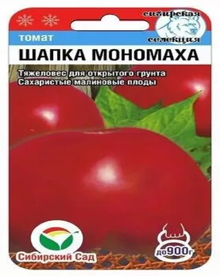Томат ШАПКА МОНОМАХА 20шт томат (Сиб сад) - купить по выгодной цене |  AliExpress
