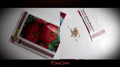 Семена Томат Шапка мономаха - Помидорчик - YouTube