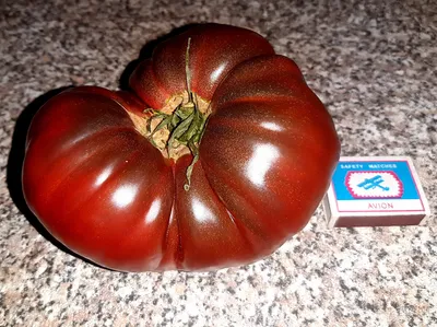 Интересные сортовые томаты от Сибирского сада и из гипермаркета | Оксана  Бухгалтерский огород | Дзен