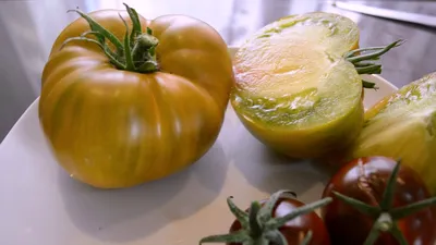 Лучшие сорта томатов прошлого года: рейтинг, отзывы, фото