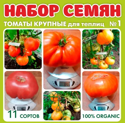 Набор семян томатов | КоллекцияТоматов74