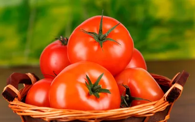 Как правильно подобрать сорт томатов - GreenMarket