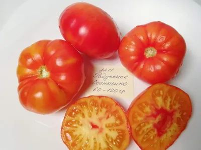 Семена томатов от коллекционеров на 2023 год: купить семена, каталог  Томатленд, отзывы