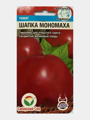 Томат Шапка Мономаха (семена) за 49 ₽ купить в интернет-магазине  KazanExpress