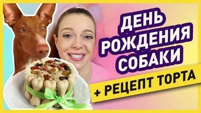 5 ИДЕЙ КАК ОТМЕТИТЬ ДЕНЬ РОЖДЕНИЯ СОБАКИ | Торт для собаки своими руками |  Подарки из зоомагазина - YouTube