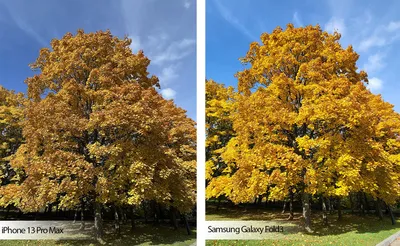 Почему фотограф не может отдать только исходники? Я сам отретуширую |  Сейчас вылетит птичка! | Дзен