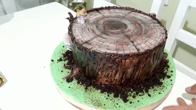 Торт пень. Торт пенек. Торт в виде пенька дерева МК - YouTube | Советы по  украшению торта, Украшение торта, Торт