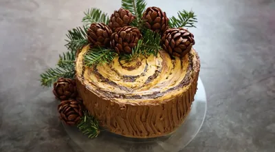 Торт \"Пенек с шишками\": рецепт яркого новогоднего десерта (видео). Новости  :section-UKR.NET.
