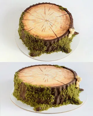 Mousse cake stump. Honey cake with boiled condensed milk;multifruit confit  and cream cheese mousse. Торт-пень.😄 А внутри он … | Mousse cake, Themed  cakes, Log cake