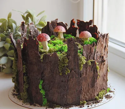 🍄ЭТО НЕ ПЕНЬ, ЭТО ТОРТ🍄 Весь декор съедобен. Никакой мастики. Только  шоколад 🍫 #каменскуральский #каменскторт #торт… | Tree stump cake, Tree  cakes, Mushroom cake