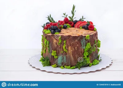 Домодельный торт в форме пня дерева леса старого с ягодами Стоковое Фото -  изображение насчитывающей бело, еда: 134451810