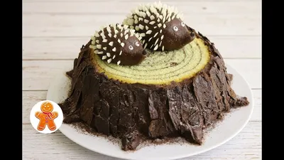 Stump Cake - YouTube