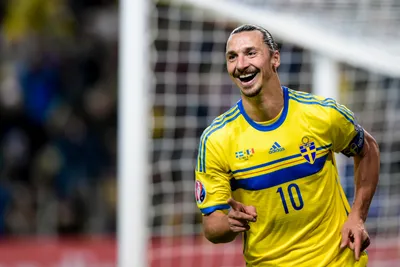 Златан Ибрагимович может завершить карьеру летом. Новости :section-UKR.NET.