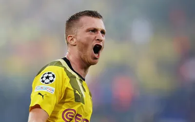 Скин Марко Ройс (Marco Reus)