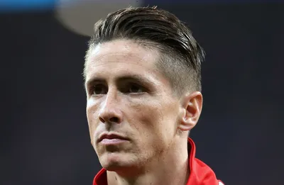 Fernando Torres - IMDb