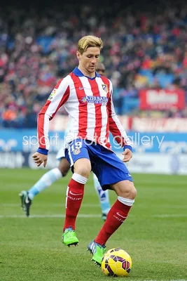 File:Fernando Torres vs Utrecht.jpg - Wikimedia Commons