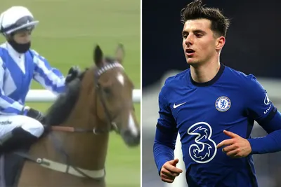 Chelsea fans could get unexpected winner at Wolves - thanks to horse named  after Blues and England star Mason Mount | The Sun