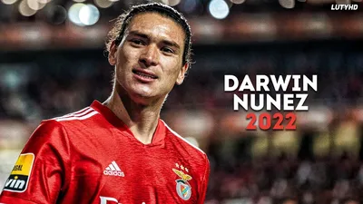Darwin Nunez 2022 - Amazing Skills, Goals \u0026 Assists | HD - YouTube