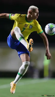 Ришарлисон – видео гола Бразилии в ворота Сербии, ЧМ-2022, 24 ноября – 24  канал Спорт