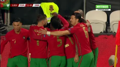 Португалия - Сербия. 1:0. Ренату Саншеш