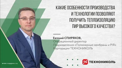Футбольные новости: Полный путеводитель по «Амкалу». Официальный сайт клуба  Динамо.
