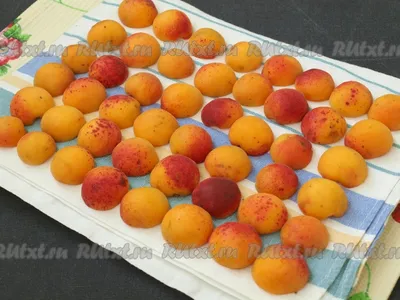 Как заморозить свежие абрикосы на зиму - 6 пошаговых фото в рецепте