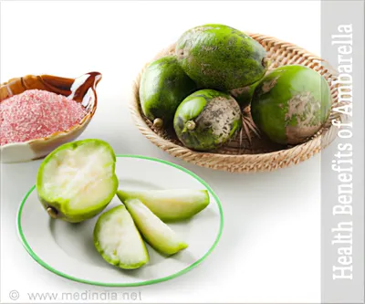 Mangosteen And Papaya Ambarella Fruit Set Vector SVG, Клипарты, векторы, и Набор Иллюстраций Без Оплаты Отчислений. Изображение113462866.