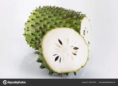 Annona mucosa - PictureThis