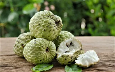 Annona squamosa - Изображение особи - Плантариум