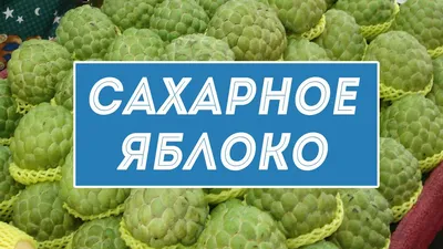 Купить семена Аннона черимойя или Дерево мороженого Annona cherimola в  Москве: доставка семян по России и СНГ - интернет-магазин «Сады Семирамиды»