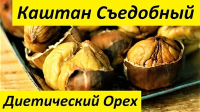 Сезон фруктов в Таиланде по месяцам 🥭 что попробовать в январе, феврале и  в другие месяцы 2023 года?