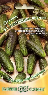 Казахстан Астана Нур-Султан ягоды овощи фрукты сухофрукты варенье |  Tselinograd